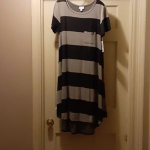 NWT Lularoe Carly dress